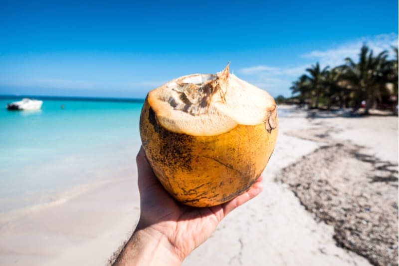 Hand holding a fresh coconut on a beach, symbolizing coconut water as a natural source of electrolytes for sauna hydration.