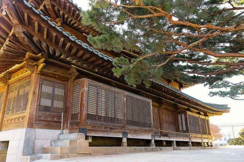 Traditional Korean wooden architecture with ornate roof and latticed windows, surrounded by pine trees