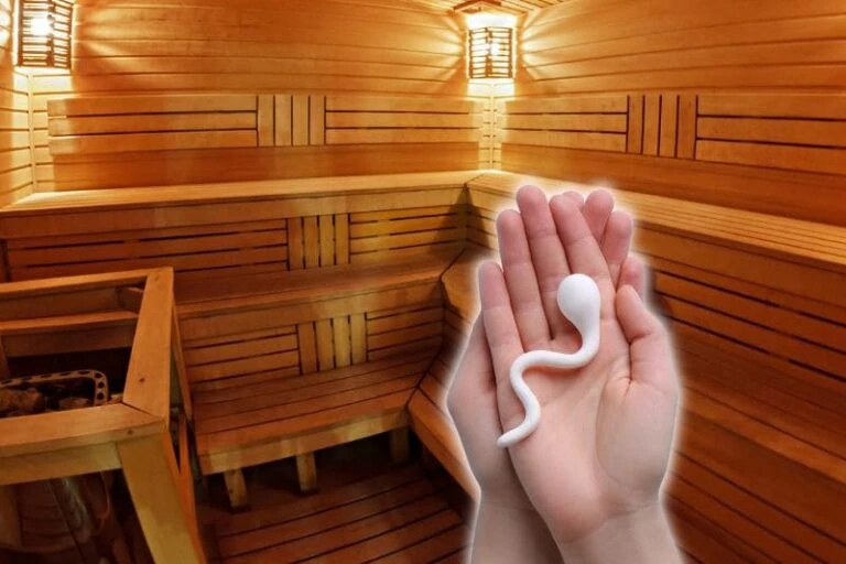 Interior of wooden sauna with illustration showing how saunas can affect sperm health, demonstrating the effects of heat on sperm production