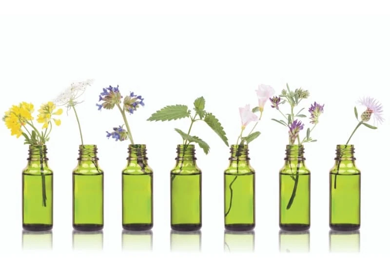 Seven essential oil bottles in green glass lined up symmetrically, each featuring different fresh botanical specimens including wildflowers and herbs with subtle reflections beneath